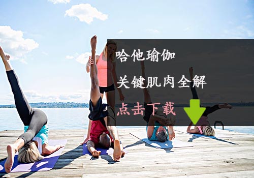 《哈他瑜伽關(guān)鍵肌肉全解》瑜伽